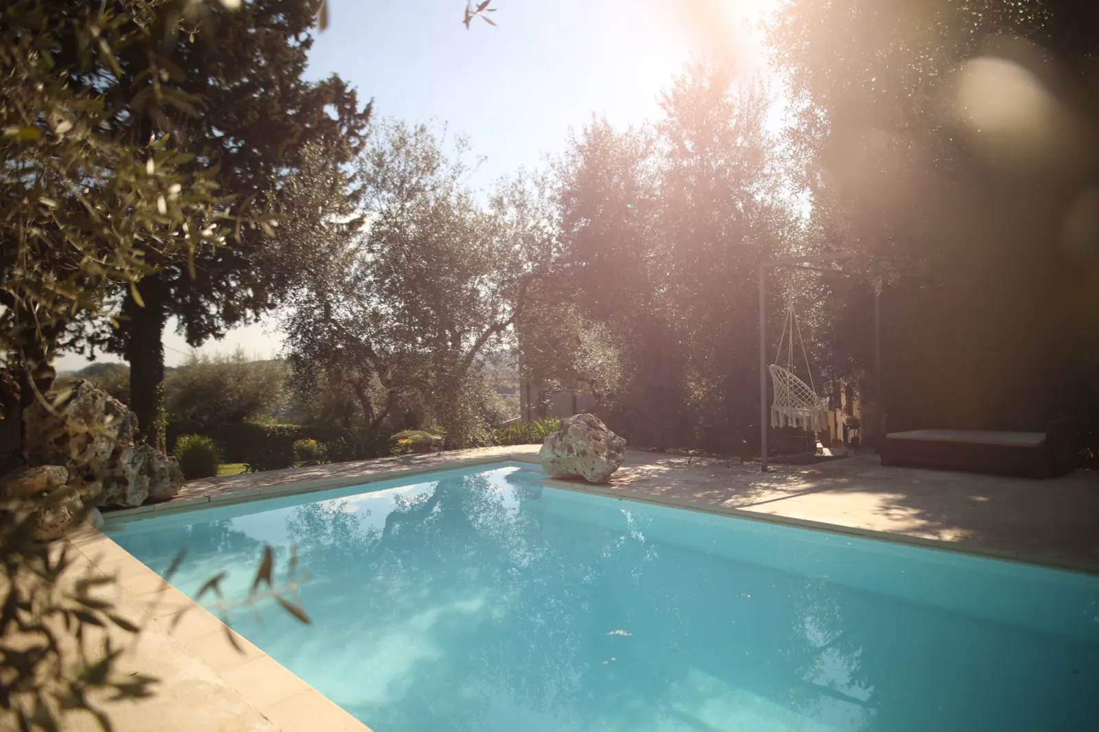 Pool zwischen Olivenbäumen im Sonnenlicht